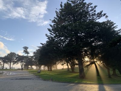 Sutro Park
